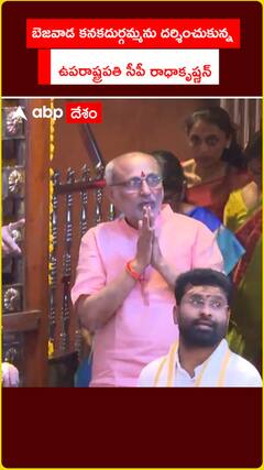 బెజవాడ కనకదుర్గమ్మను దర్శించుకున్న  ఉపరాష్ట్రపతి సీపీ రాధాకృష్ణన్