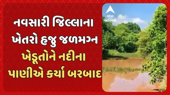 Navsari waterlogged: નવસારી જિલ્લાના ખેતરો હજુ જળમગ્ન, ખેડૂતોને નદીના પાણીએ કર્યા બરબાદ