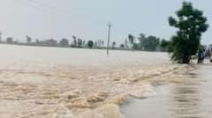 Punjab News: ਹੜ੍ਹਾਂ ਦਾ ਮੁੜ ਕਹਿਰ! ਸਤਲੁਜ ਨੇ ਰਾਹ ਬਦਲਿਆ, ਸੈਂਕੜੇ ਏਕੜ ਜ਼ਮੀਨ ਵਹੀ, ਫੌਜ ਬੁਲਾਈ  