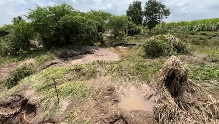 अनेक भागात पिकांचे मोठ्या प्रमाणात नुकसान झाले असून शेती साहित्य वाहून गेल्याच समोर आलं.