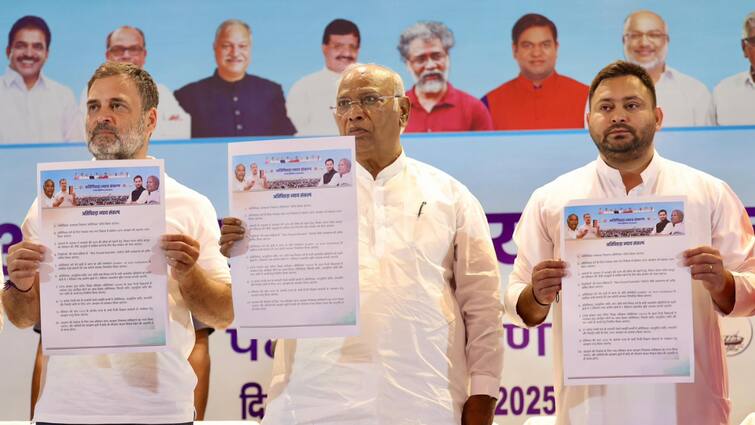 <div>Rahul Gandhi Launches 'Justice Manifesto' For Backward Communities In Bihar Ahead Of Elections</div>