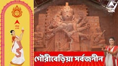 Gourberia Sabojonin : থিম মাটি ও জীবন, এবিপি আনন্দর বিশেষ জুরি সম্মান জিতে নিল গৌরীবেড়িয়া সর্বজনীন