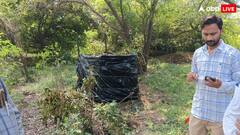 यूपी के मुरादाबाद में कड़ी मशक्कत के बाद पकड़ा गया तेंदुआ, लोगों ने ली राहत की सांस