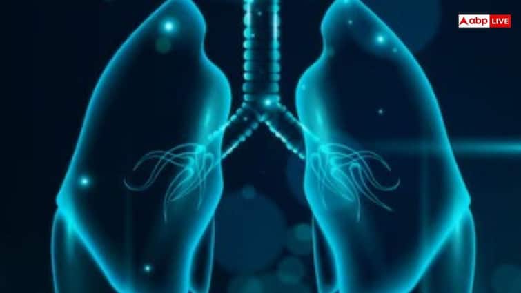 World lung day: शरीर में दिखने वाले इन संकेतों से समझ जाएं फेफड़ों में भर गया है पानी, तुरंत करा लें जांच