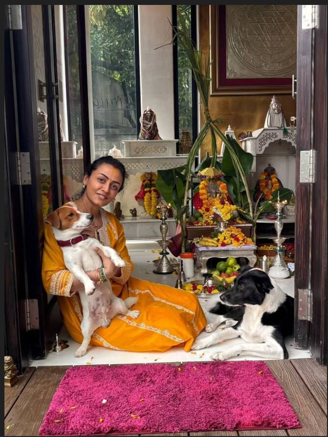 Namrata also looks very cute in traditional outfits. This is the photo of his temple. She looks very cute in a yellow color suit.