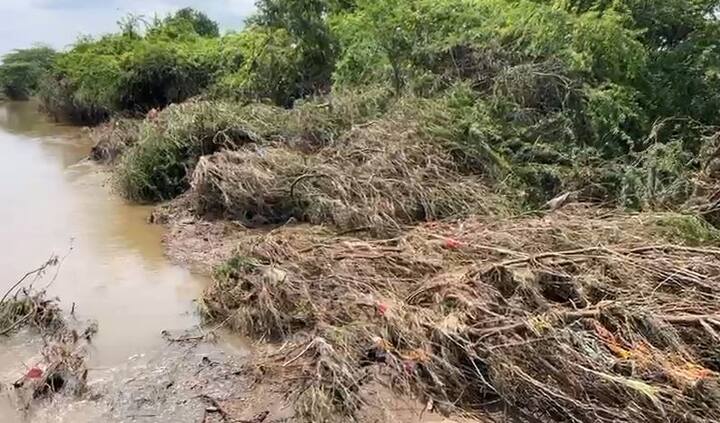 दरम्यान गेवराई तालुक्यातील धोंडराई गावातून वाहणाऱ्या अमृता नदीला पूर आला होता. आणि याच पुराने नदीकाठच्या परिसरात मोठे नुकसान झाल्याचं दिसून येत आहे. या क्षेत्रातील संपूर्ण उसाचे पीक आडवं झालंय.