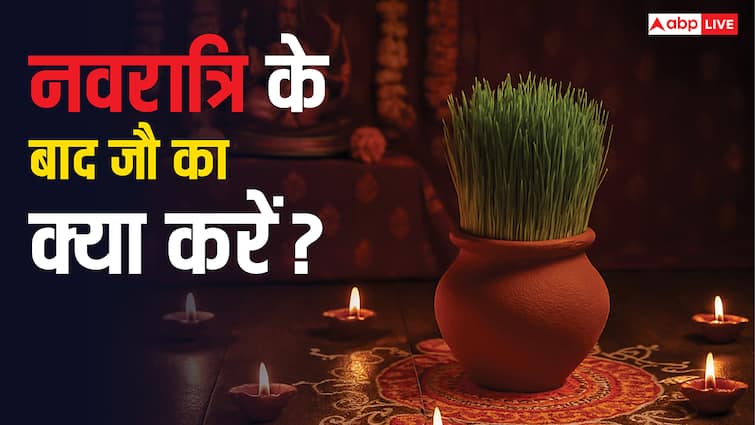 Shardiya Navratri 2025: नवरात्रि के बाद जौ का सही उपयोग कैसे करें? जानिए इसके हैरान कर देने वाले उपाय!