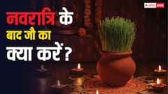 Shardiya Navratri 2025: नवरात्रि के बाद जौ का सही उपयोग कैसे करें? जानिए इसके हैरान कर देने वाले उपाय!