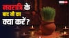 Shardiya Navratri 2025: नवरात्रि के बाद जौ का सही उपयोग कैसे करें? जानिए इसके हैरान कर देने वाले उपाय!