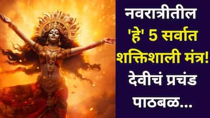 प्रचंड पाठबळ, प्रत्येक कामात यश, सुख हवं आहे? देवीचे 'हे' 5 मंत्र नवरात्रीत उच्चारा...