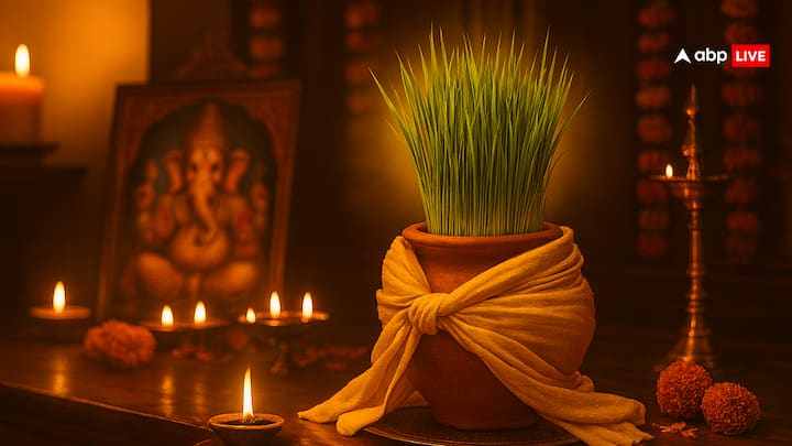 अगर आपको आए दिन धन से जुड़ी समस्या या आर्थित तंगी सताती है, तो नवरात्रि के बाद एक लाल कपड़े में जौ को बांधकर तिजोरी में रख दें. ऐसा करने से आपके जीवन में धीरे-धीरे धन लाभ के योग बनते चले जाएंगे.