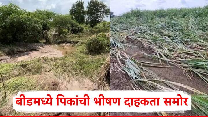 Beed Rain News: कालपासून (24 सप्टेंबर) बीड जिल्ह्यात पावसाने विश्रांती घेतल्यानंतर नदीकाठच्या परिसरातील पुराचे ओसरले आहे.