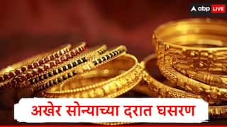 24 carat gold rate : सोन्याच्या दरात घसरण, चांदीचे दर महागले, सोने-चांदीचे दर किती रुपयांवर पोहोचले?