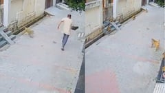 हापुड़ की सड़कों पर बंदरों का आतंक, स्कूटी सवार शख्स पर किया हमला, युवक ने भागकर बचाई जान