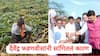 Devendra Fadnavis On Heavy Rain In Marathwada: मराठवाड्यातल्या महाप्रलायचं सर्वात मोठं कारण काय?; स्वत: देवेंद्र फडणवीसांनी सांगितलं!