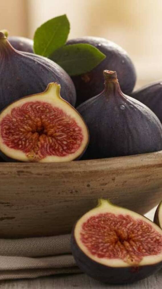 भारत में सबसे ज्यादा अंजीर किस राज्य में उगाया जाता है?