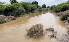 Beed Rain News: नदीकाठचा पूर ओसरला; पिकांची भीषण दाहकता समोर, बीडमध्ये सध्याची परिस्थिती काय?, PHOTO
