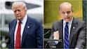 Trump To Host Pakistani PM Sharif Today At White House: Report
