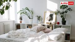 क्या ज्यादा ऑक्सीजन के लिए कमरे में लगा सकते हैं पौधे, ऐसा करना कितना खतरनाक?