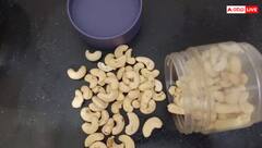 ਇਦਾਂ ਕਰੋ ਕਾਜੂ ਦੀ ਖੇਤੀ, ਲੱਖਾਂ 'ਚ ਹੋਵੇਗੀ ਕਮਾਈ