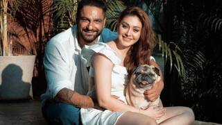 सीपीआर दिला, नाडी चालू होती पण ..' शेफाली जरीवालाच्या मृत्यूनंतर 3 महिन्यांनी पतीनेच केला उलगडा