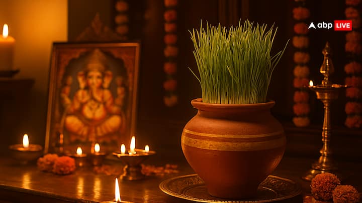 लेकिन नवरात्रि खत्म होने के बाद ज्यादातर लोगों को समझ नहीं आता है कि, जौ का क्या करें? आज हम आपको यही बताएंगे कि नवरात्रि के बाद जौ का करना चाहिए?