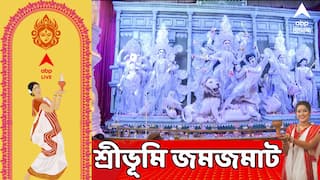 Durga Puja: শ্রীভূমি স্পোর্টিং ক্লাব মানেই সুজিত বসুর পুজো। পুজোর কটা দিন কেমন কাটে দমকলমন্ত্রীর ?