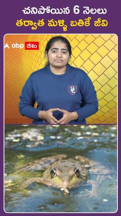 చనిపోయిన 6 నెలలు  తర్వాత మళ్ళి బతికే జీవి