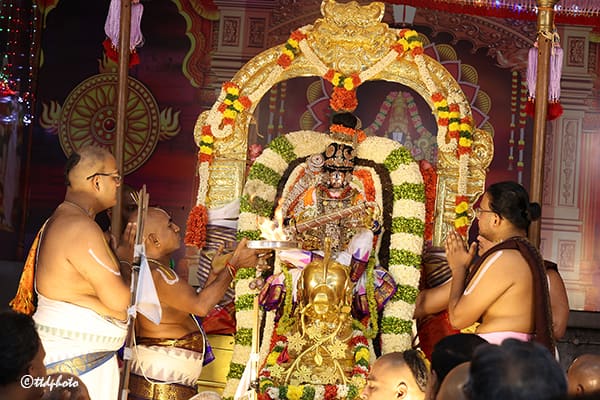 Tirumala: తిరుమల బ్రహ్మోత్సవాలు 2025 - పాలను నీళ్లను వేరుచేసే హంస వాహనంపై శ్రీనివాసుడి దర్శనం జ్ఞానాన్ని అందిస్తుంది!
