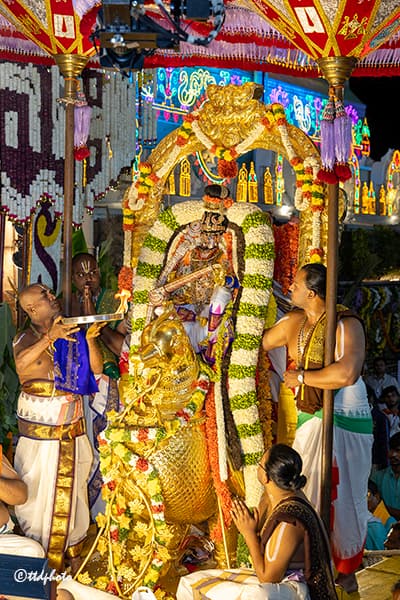 Tirumala: తిరుమల బ్రహ్మోత్సవాలు 2025 - పాలను నీళ్లను వేరుచేసే హంస వాహనంపై శ్రీనివాసుడి దర్శనం జ్ఞానాన్ని అందిస్తుంది!