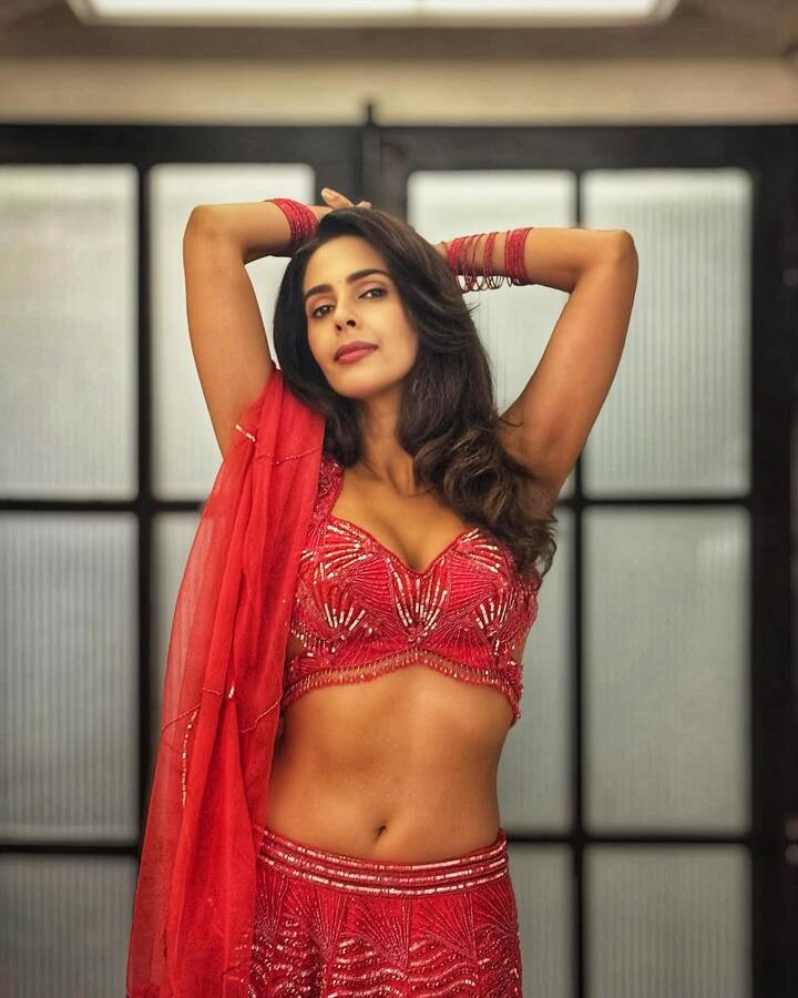 In this picture, Mallika is wearing a red lehenga which is decorated with fine beads and embroidery. He is wearing a deep-cut neckline matching blouse. He has completed his ethnic look with many red bangles and a light dupatta. His makeup is quite glam, including eyeliner, highlighted chicks and nude-pink lipstick.