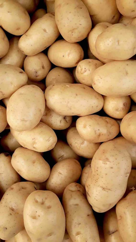 உருளைக்கிழங்கு சாப்பிடறதுல இவ்ளோ ரிஸ்க் இருக்கா.? எப்படி, எவ்வளவு சாபிடணும்னு தெரிஞ்சுக்கோங்க!