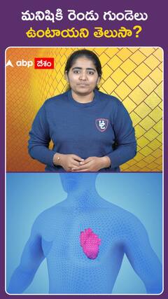 మనిషికి రెండు గుండెలు  ఉంటాయని తెలుసా?