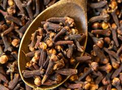 Home Remedies for Toothache: दांत दर्द के लिए ये घरेलू उपाय अपनाएं, जल्द से जल्द मिलेगा आराम