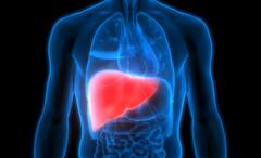 Liver Health: સ્કીન પર જોવા મળતા આ લક્ષણોથી સાવધાન, હોય શકે છે ફેટી લીવર