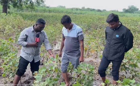 पावसाने दोन दिवस विश्रांती घेतली असली, तरी आजही शेतात चिखल साचलेला आहे. त्यामुळे शेतीकाम अडचणीत आले आहे.