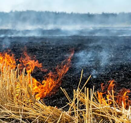 ਪਰਾਲੀ ਸਾੜਨ ਦੇ ਮੁੱਦੇ 'ਤੇ ਕਿਸਾਨ ਲੀਡਰ ਪੰਧੇਰ ਨੇ ਕੇਂਦਰ ਤੇ ਪੰਜਾਬ ਸਰਕਾਰਾਂ ਦੀਆਂ ਨੀਤੀਆਂ ਨੂੰ ਕਿਸਾਨ ਵਿਰੋਧੀ ਦੱਸਦੇ ਹੋਏ ਗੰਭੀਰ ਦੋਸ਼ ਲਗਾਏ ਹਨ।