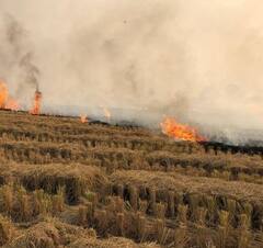 ਪਰਾਲੀ ਸਾੜਨ ਖਿਲਾਫ ਸਰਕਾਰ ਦੀ ਸਖਤੀ ਤੋਂ ਕਿਸਾਨ ਭੜਕੇ, ਸਰਵਣ ਸਿੰਘ ਪੰਧੇਰ ਨੇ ਸੱਦ ਲਈ ਐਮਰਜੈਂਸੀ ਮੀਟਿੰਗ
