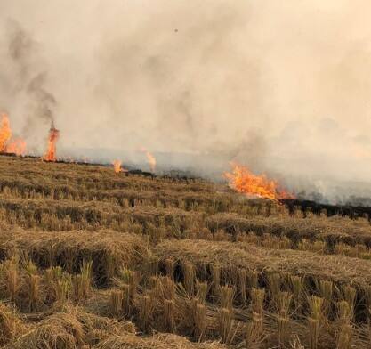 ਪਰਾਲੀ ਸਾੜਨ ਖਿਲਾਫ ਸਰਕਾਰ ਦੀ ਸਖਤੀ ਤੋਂ ਕਿਸਾਨ ਭੜਕ ਗਏ ਹਨ। ਕਈ ਥਾਵਾਂ ਉਪਰ ਪਰਾਲੀ ਸਾੜਨ ਤੋਂ ਰੋਕਣ ਪਹੁੰਚੇ ਸਰਕਾਰੀ ਮੁਲਾਜ਼ਮਾਂ ਨਾਲ ਕਿਸਾਨ ਉਲਝਣ ਲੱਗੇ ਹਨ।