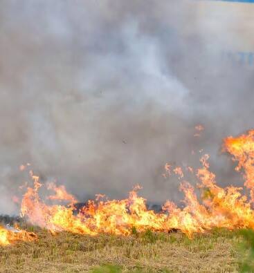 ਉਨ੍ਹਾਂ ਐਲਾਨ ਕੀਤਾ ਕਿ ਕਿਸਾਨ ਮਜ਼ਦੂਰ ਮੋਰਚੇ ਦੀ ਇੱਕ ਐਮਰਜੈਂਸੀ ਮੀਟਿੰਗ ਕੱਲ੍ਹ ਚੰਡੀਗੜ੍ਹ ਵਿੱਚ ਹੋਵੇਗੀ ਜਿੱਥੇ ਮੁਆਵਜ਼ਾ, ਬਾਸਮਤੀ ਤੇ ਕਪਾਹ ਦੀਆਂ ਕੀਮਤਾਂ, ਬਿਜਲੀ ਬੋਰਡ ਦੇ ਨਿੱਜੀਕਰਨ ਤੇ ਸਮਾਰਟ ਮੀਟਰਾਂ ਦੀ ਜ਼ਬਰਦਸਤੀ ਲਗਾਉਣ 'ਤੇ ਚਰਚਾ ਕੀਤੀ ਜਾਵੇਗੀ।