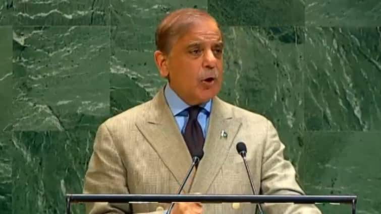 <div>Ready For 'Composite, Result-Oriented' Talks With India: Pakistan PM Shehbaz Sharif At UN</div>