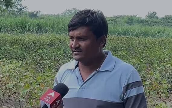 काही शेतकऱ्यांची जनावरं पावसात वाहून गेल्याचंही समोर आलं आहे.