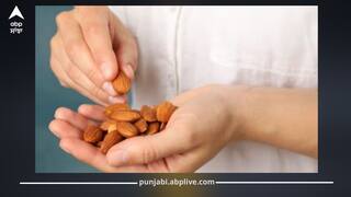 ਬਦਾਮ ਨੂੰ ਇਨ੍ਹਾਂ ਫੂਡਸ ਦੇ ਨਾਲ ਮਿਲਾ ਕੇ ਕਦੇ ਨਾ ਖਾਓ, ਫਾਇਦੇ ਦੀ ਥਾਂ ਹੋਵੇਗਾ ਨੁਕਸਾਨ...ਸੁਧਾਰੋ ਆਪਣੀ ਆਦਤ