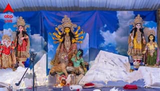 Durga Puja 2025: বাঙালিয়ানায় ভরা ক্যালিফোর্নিয়ার সিলিকন ভ্যালির 'প্রথমা'-র পুজো, এবার বিশেষ চমক হিসেবে থাকছে 'হুলিগানইজম'