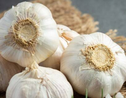 लहसुन का उपयोग: लहसुन में एंटीबैक्टीरियल गुण होते हैं. लहसुन की एक कली को पीसकर दांत पर लगाने से दर्द और संक्रमण दोनों से राहत मिलती है.