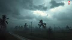 Weather Update: দুপুর পেরোতেই আকাশ ঢাকল মেঘে, বৃষ্টি শুরু কলকাতায় ! কেমন আবহাওয়া থাকবে আজ ও আগামীকাল ?