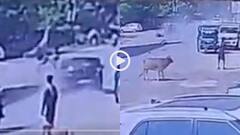 Video: नशे में धुत कार ड्राइवर ने स्कूटी वाले को उड़ाया, हवा में उछला, गाड़ी भी पलटी, वीडियो वायरल