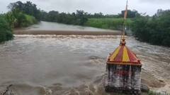 कोल्हापूर, सांगलीत पावसाचे धुमशान; खरीप पिकांचे मोठे नुकसान, छाटणी झालेल्या द्राक्षबागांवर दावण्या व करपा रोग पडण्याची शक्यता