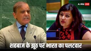 'लादेन को पनाह देने वाला...', शहबाज शरीफ ने UN में हिंदुत्व पर उठाए सवाल, भारत ने उधेड़ दी बखिया