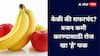 Apple or Banana :केळी की सफरचंद? वजन कमी करण्यासाठी 'हा' उत्तम मार्ग